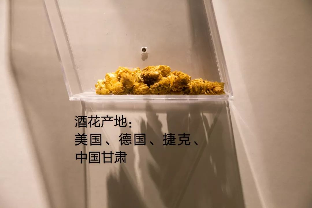 報(bào)告:我想去百威中國那個(gè)啤酒展覽館打卡品美酒佳肴|國潮范這么閃 - 第50張 - 會展活動策劃CCASY.COM 報(bào)告:我想去百威中國那個(gè)啤酒展覽館打卡品美酒佳肴|國潮范這么閃 - 第50張