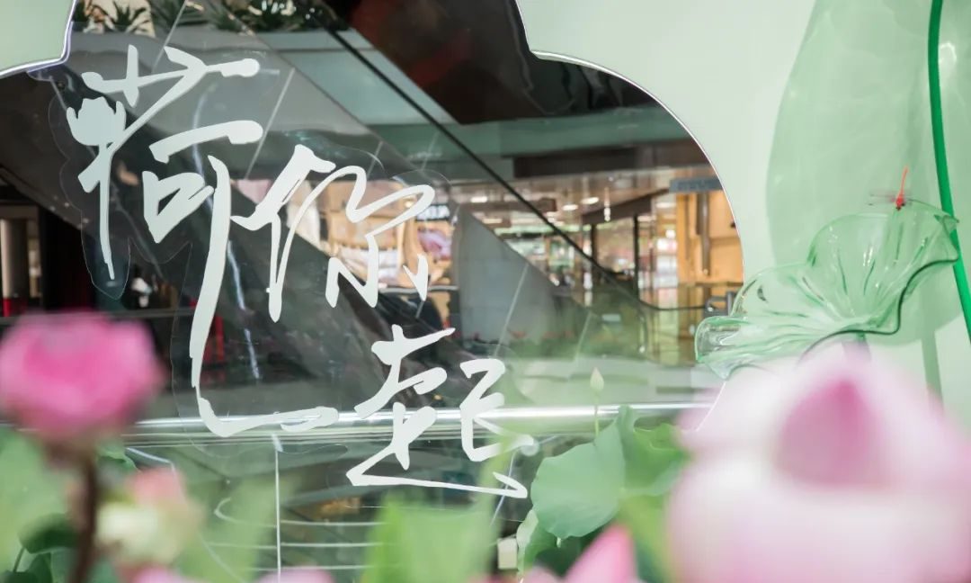 廣州天河城26周年全真荷花主題展覽活動策劃打造了一片新奇的消暑之地 - 第18張 - 會展活動策劃CCASY.COM 廣州天河城26周年全真荷花主題展覽活動策劃打造了一片新奇的消暑之地 - 第18張