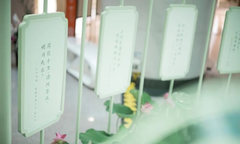 廣州天河城26周年全真荷花主題展覽活動策劃打造了一片新奇的消暑之地 - 第5張 - 會展活動策劃CCASY.COM 廣州天河城26周年全真荷花主題展覽活動策劃打造了一片新奇的消暑之地 - 第5張